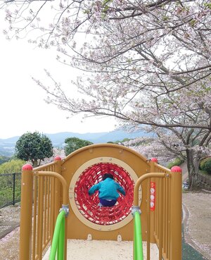 桜の季節に遊ぶ子供.JPG