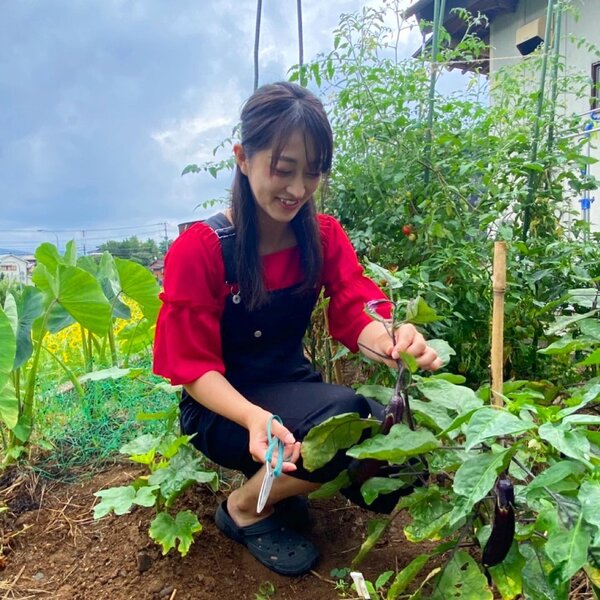 野菜と森.jpg