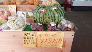 双子のスイカ２.JPG