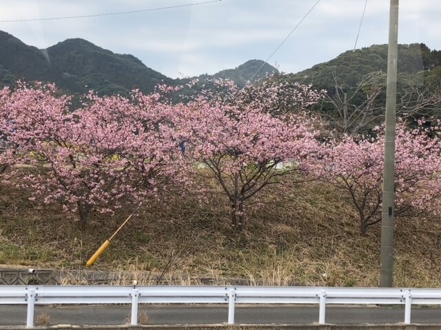 image4.jpeg