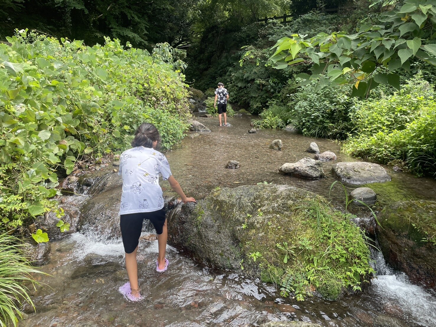 夏①.JPG