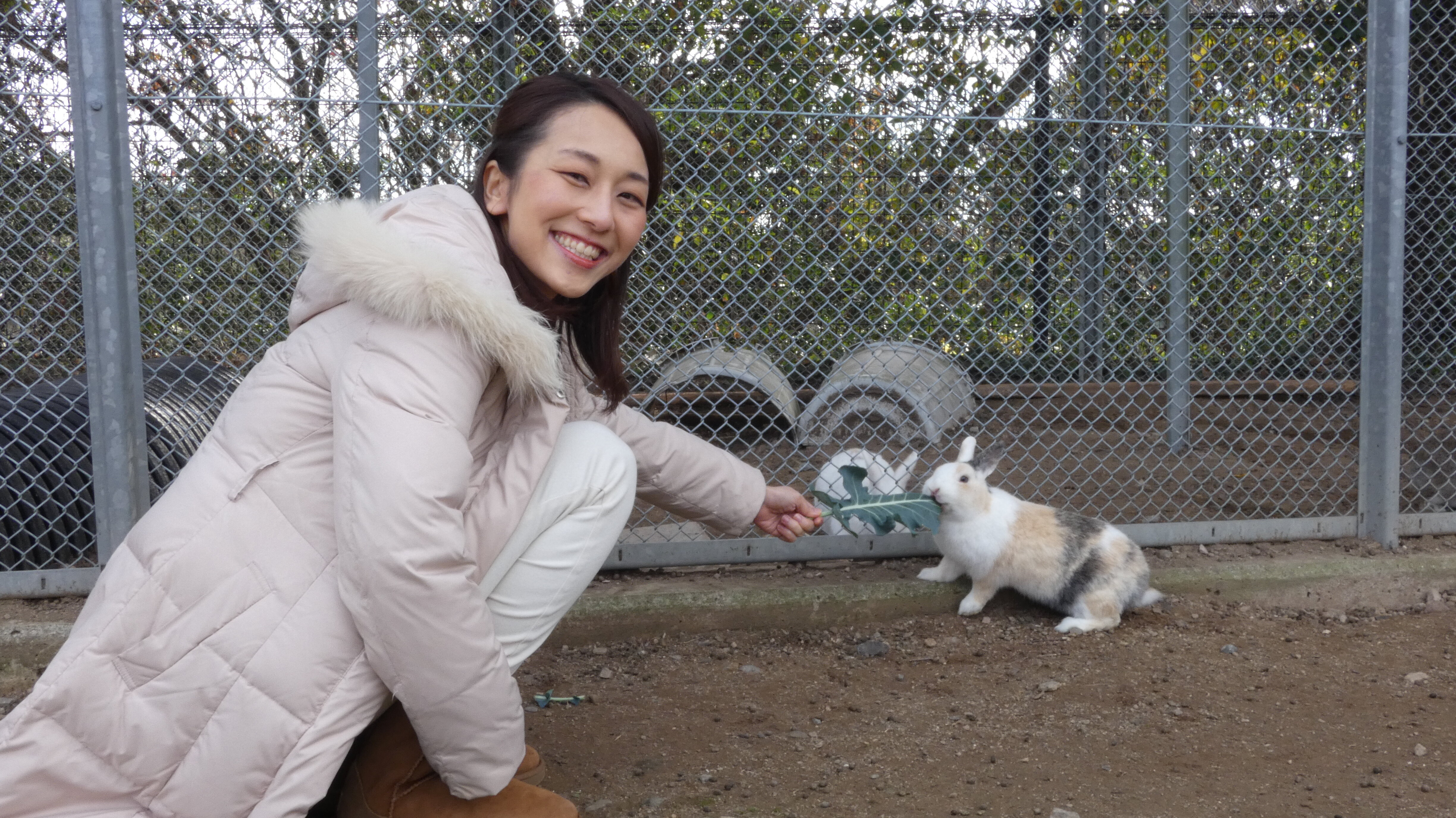 ピョン子様ご確認中 2023年うさぎ年！ピョンピョン跳びまわります！｜8gram｜KTNテレビ長崎