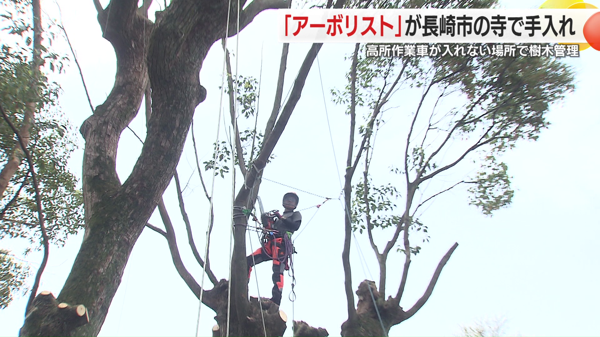 長崎　　野外露出 