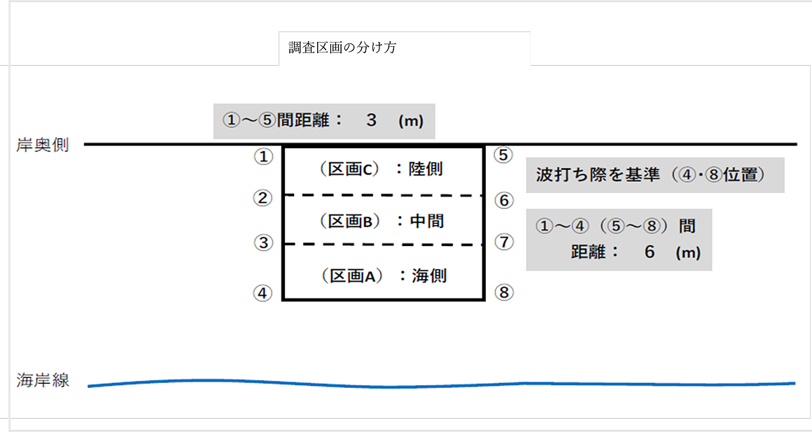 調査区画の分け方