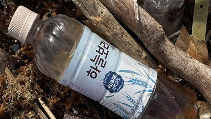 戸﨑さんの調査の写真