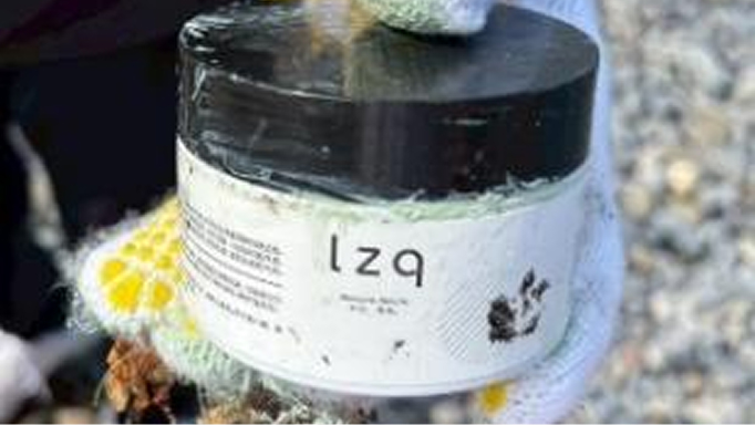 中川さんの調査の写真