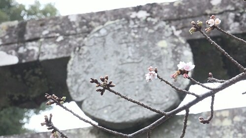 西山神社丸い神額.jpg