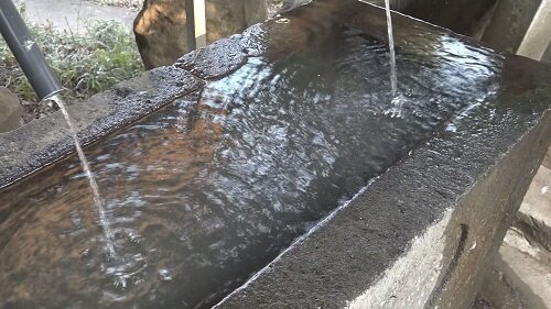 西山神社椎の木の水.jpg