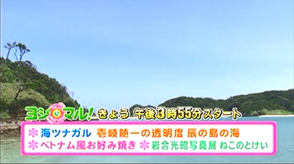 ８月３日(水）KTN「ヨジマル！」で壱岐の海をご紹介！