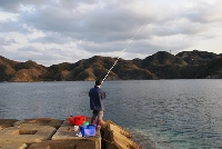 【対馬地区】漁業体験　その1～魚釣り体験