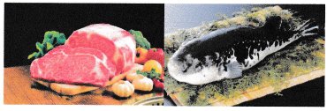 日本一の長崎和牛「出島ばらいろ」と「戸石ふぐ」の晩さん会参加者募集！