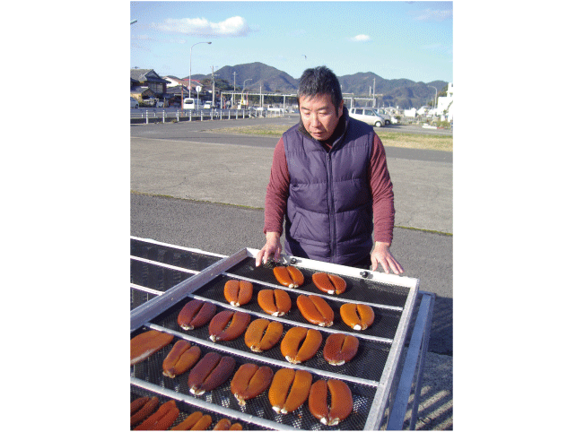 からすみ加工場見学と「生からすみ丼」まるごと野母崎 バスツアー