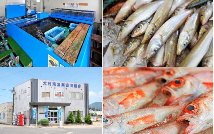 大村湾漁協　恒例のマグロ解体・即売のお知らせ！