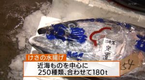 初競り2
