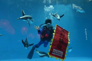 長崎ペンギン水族館　☆　ペ　ン　ギ　ン　と　海　の　ラ　ン　タ　ン　展　☆