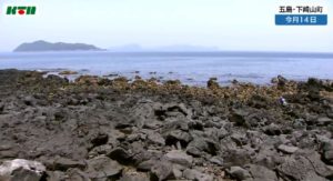 五島　うに解禁1