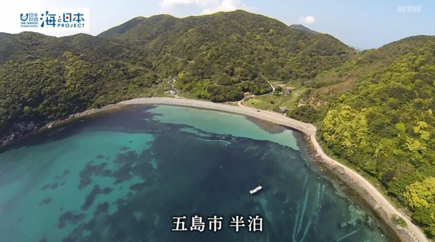 KTNヨジマル！海に生きる・・