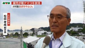 稚なまこ4