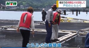 養殖いかだ上