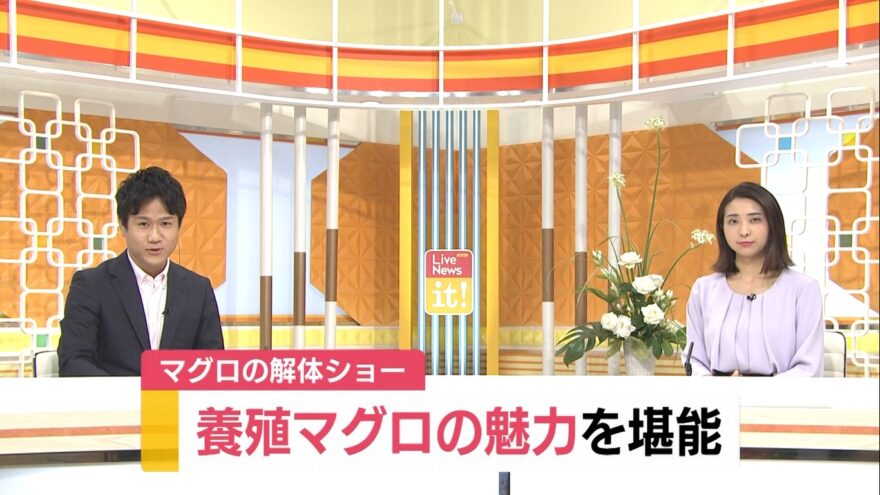 マグロの解体ショー