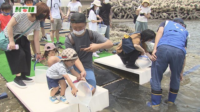 海の生きものに関心を～子どもたちが「ガザミ」を放流【長崎市】