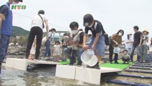 s-ガザミ②