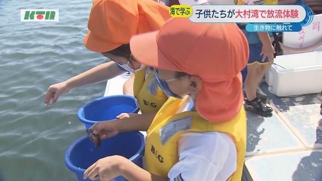 「大きくなぁれ！」～子どもたちが稚ナマコなどを大村湾に放流