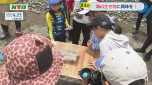 観察１