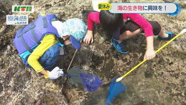 夏休みスタート！子どもたちが「海の生物観察会」【長崎市】