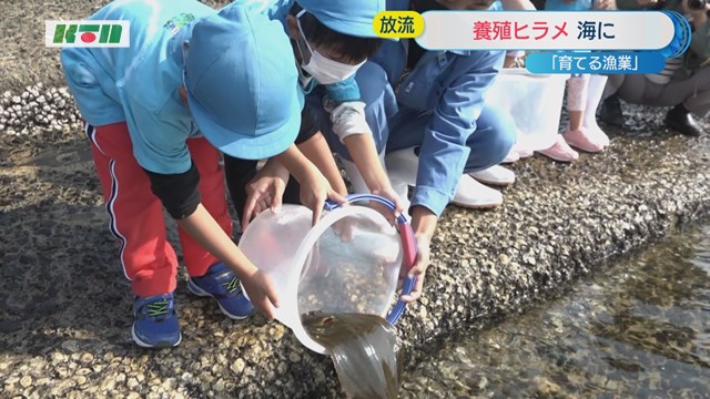 長崎鶴洋高校の生徒たちが養殖したヒラメを放流【長崎市】