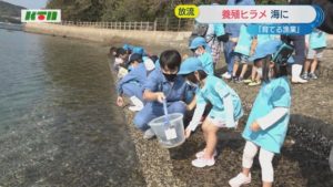 s-ヒラメ2