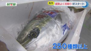 s-初セリ2
