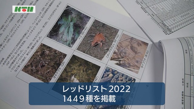 長崎県がレッドリストを改定～魚類「カネヒラ」等が絶滅