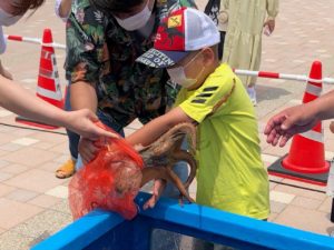 タコを捕まえる子ども
