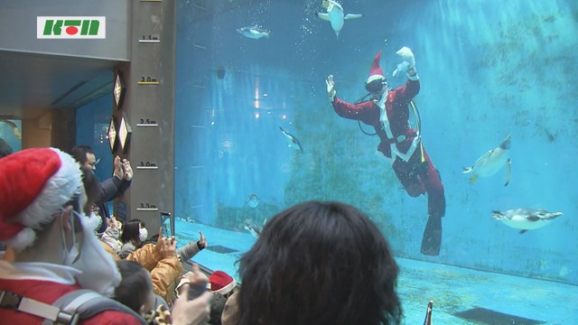 ペンギンにもクリスマスプレゼント　サンタダイバーがエサやり【長崎市】