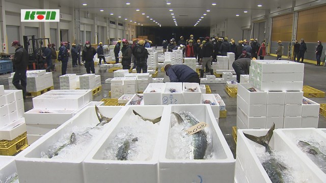 長崎魚市場で初競り　魚の単価は上昇傾向【長崎市】