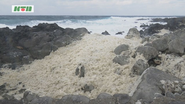 厳寒の海にふわり「波の花」【五島市】