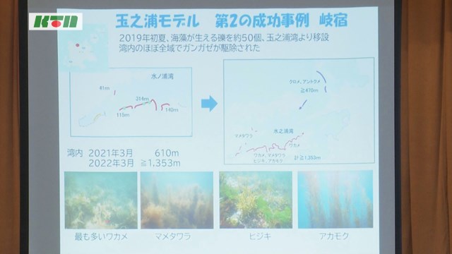 s-0331ブルーカーボン (2)