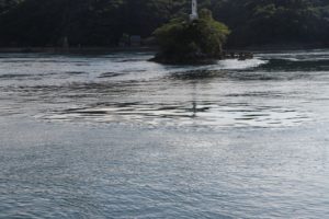 IMG_2975