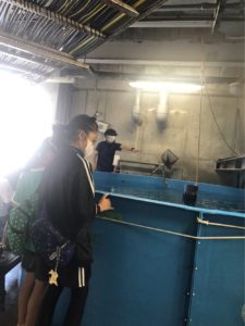 水族館バックヤードツアー