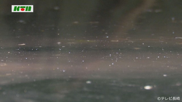 五島の海で“青い赤潮”　原因は夜光虫？【長崎県】