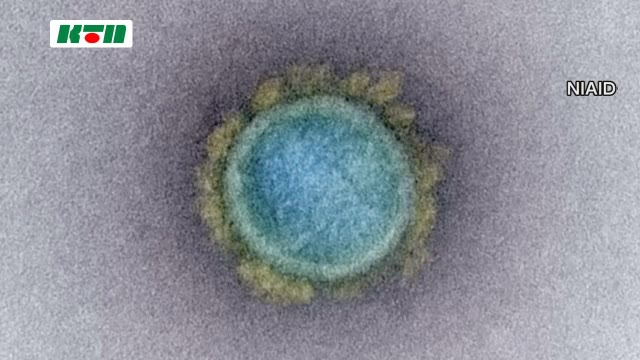 速報 死亡者数は過去最多タイの13人 長崎県内で918人が新型コロナウイルス感染 ニュース Ktnテレビ長崎 速報 死亡者数は過去最多タイの13人 長崎県内で918人が新型コロナウイルス感染 ニュース Ktnテレビ長崎