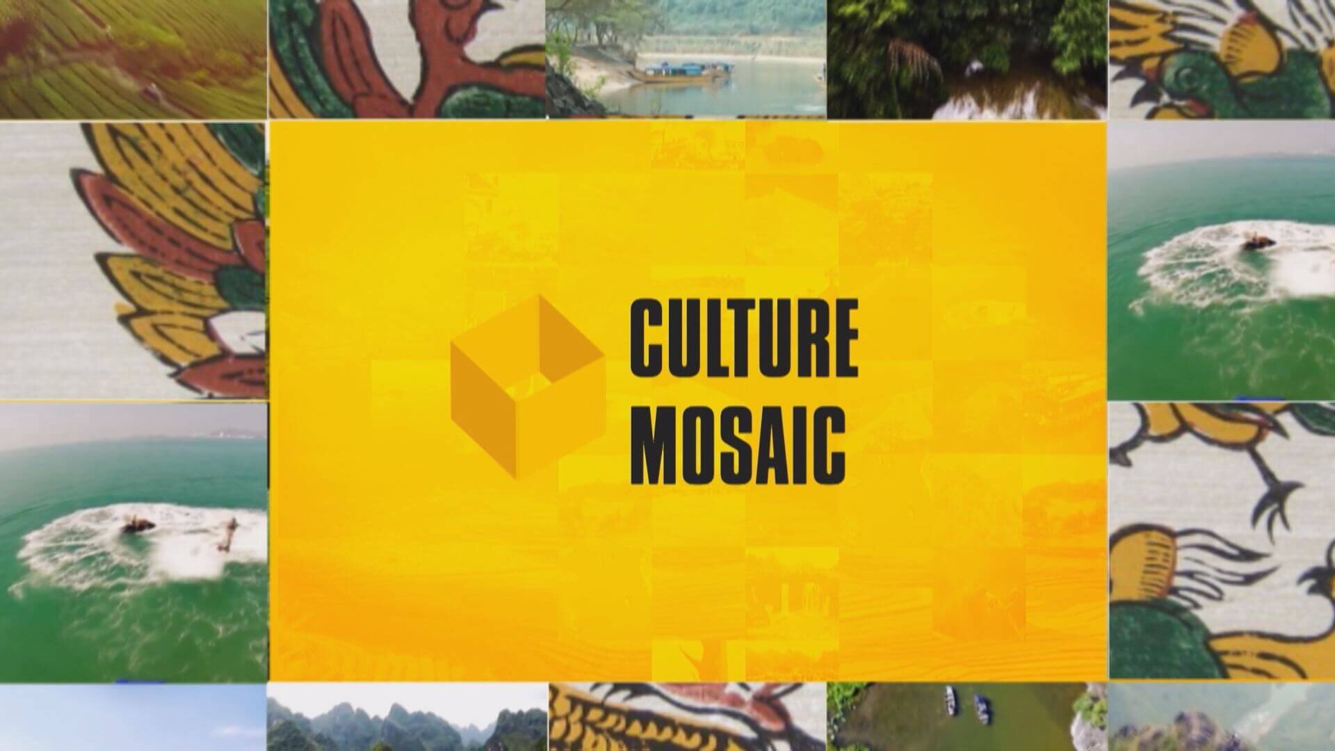CULTURE MOSAIC